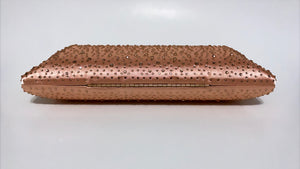 TALITH CLUTCH IN CHAMPAGNE